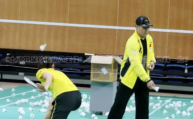 ng28游戏官网平台百度信誉《土耳其足球运动员王佳：职业生涯、荣誉与个人资料一览》