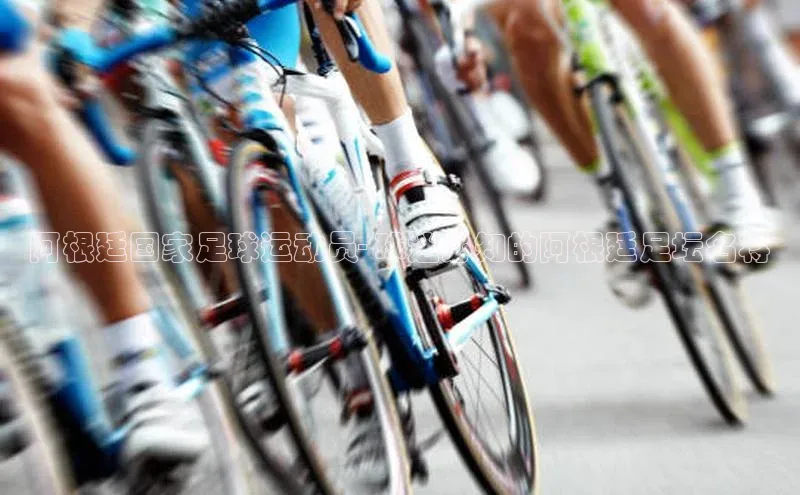 NG.28.66百度集团阿根廷国家足球运动员- 球迷必知的阿根廷足坛名将