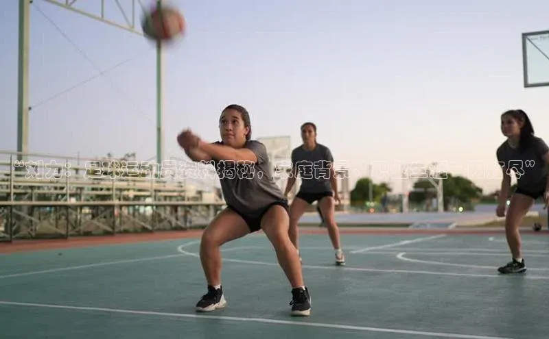 NG28网页版神思电子“刘力：足球运动员资料揭秘，家庭背景、职业生涯一网打尽”
