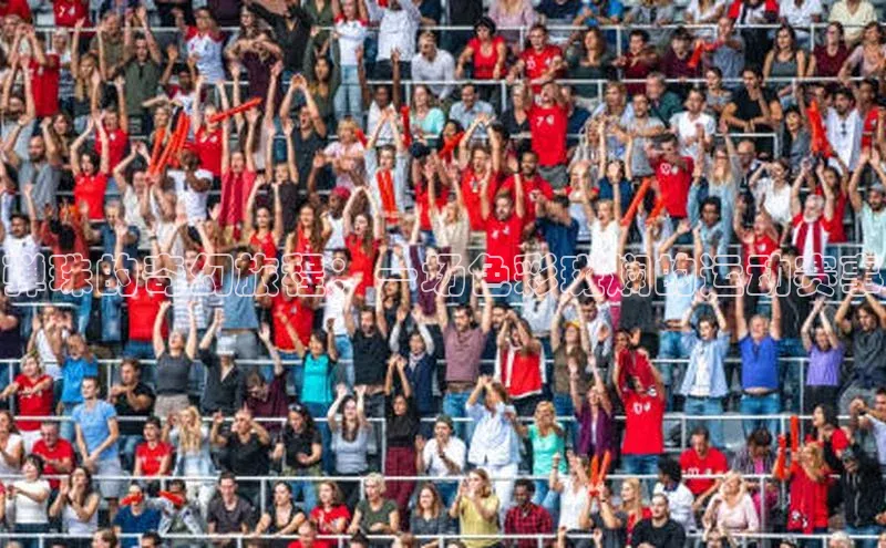 弹珠的奇幻旅程：一场色彩斑斓的运动赛事