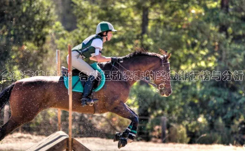 全球竞技盛宴：各大运动赛事的奖金排行榜与分析