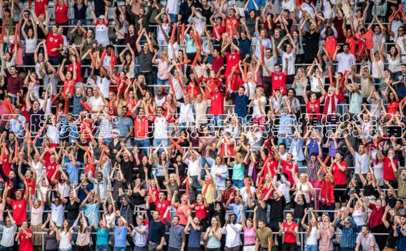 飞跃赛场：顶级运动赛事摄影装备