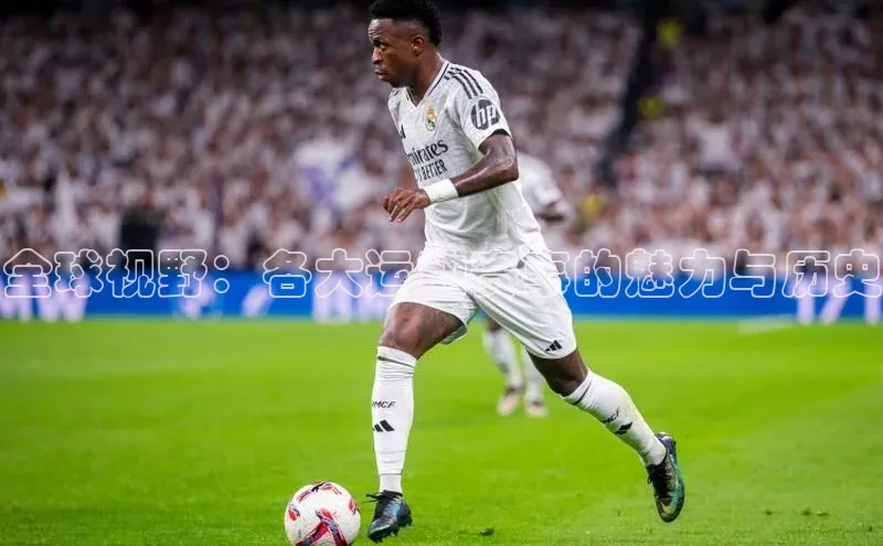 全球视野：各大运动赛事的魅力与历史