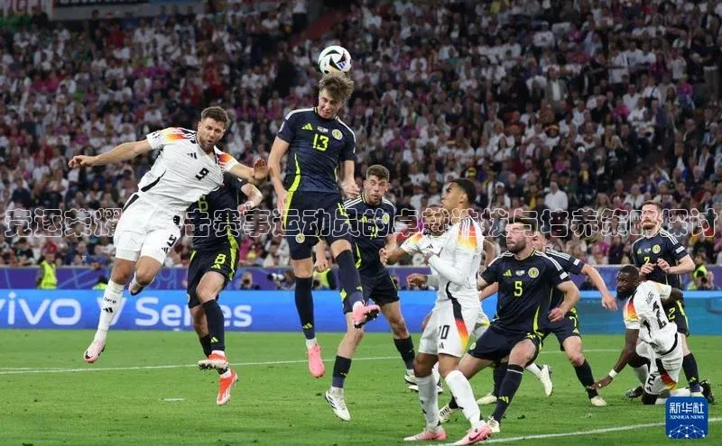 竞逐荣耀：搏击赛事运动员的卓越选拔与培养策略探讨