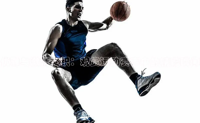 优雅与激情交织：观赏运动赛事中的精彩瞬间