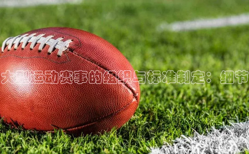 大型运动赛事的组织与标准制定：细节