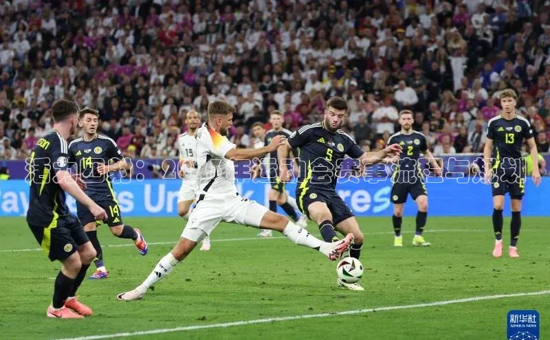 活力四射：2023年运动会赛事流程与规划