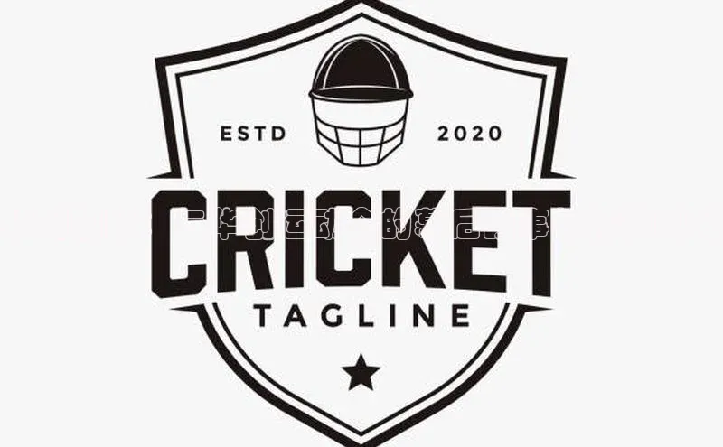 华创视野：与华创运动会的幕后故事与精彩瞬间