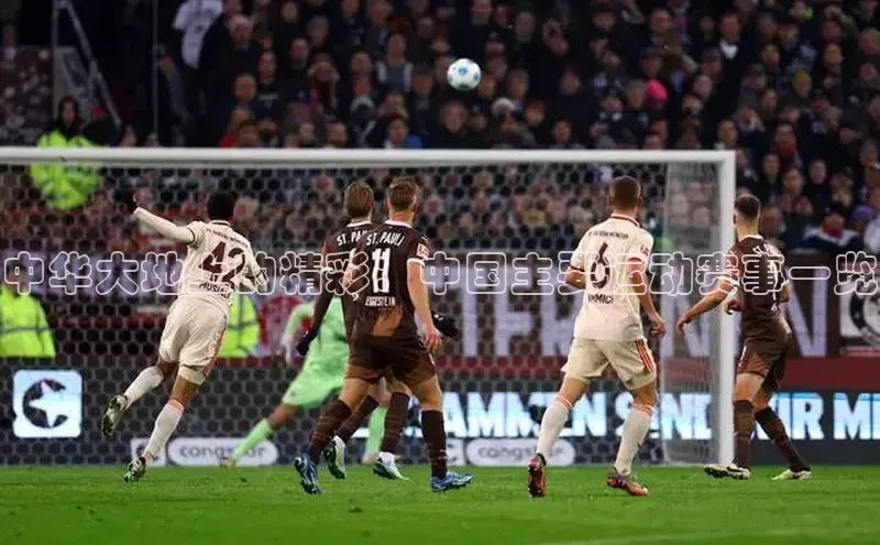 中华大地上的精彩：中国主要运动赛事一览