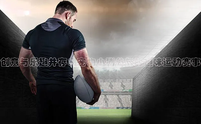 创意与乐趣并存：宠物小猪参与的趣味运动赛事