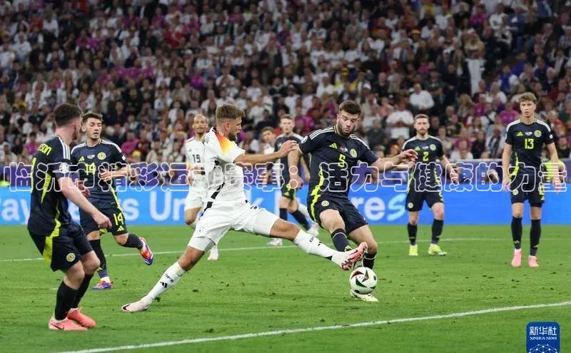 临沂市精彩运动赛事：活力与健康的力量