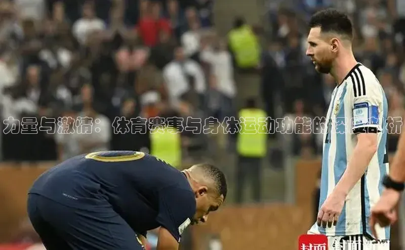 力量与激情：体育赛事与身体运动功能的深度剖析