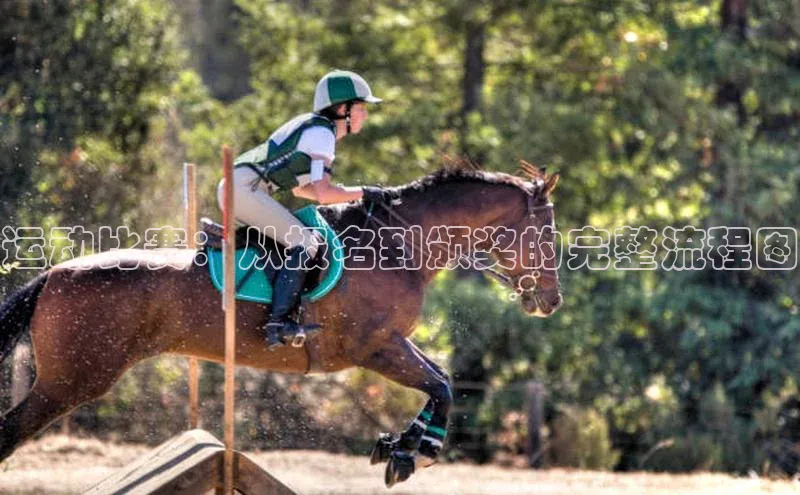 ng28游戏官网平台