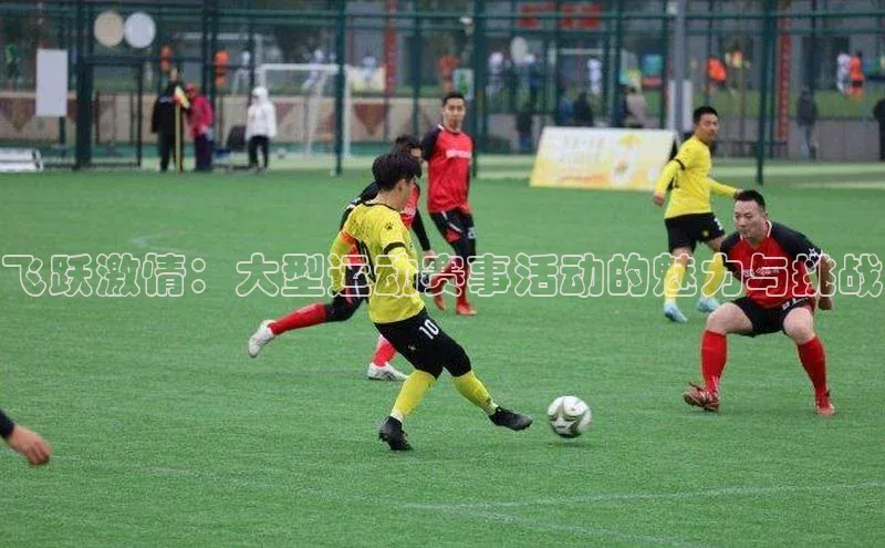 飞跃激情：大型运动赛事活动的魅力与挑战