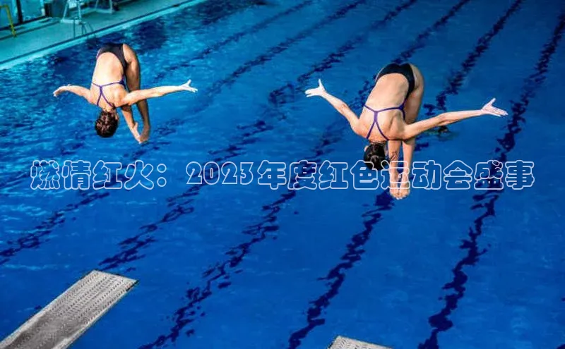 燃情红火：2023年度红色运动会盛事