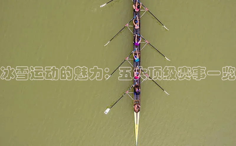 NG28官网入口链接